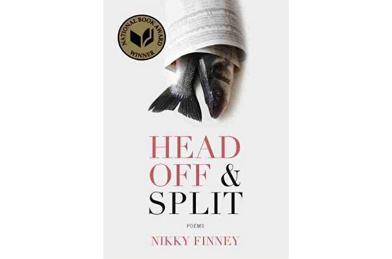 head off book cover